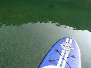 サップと透き通る水面