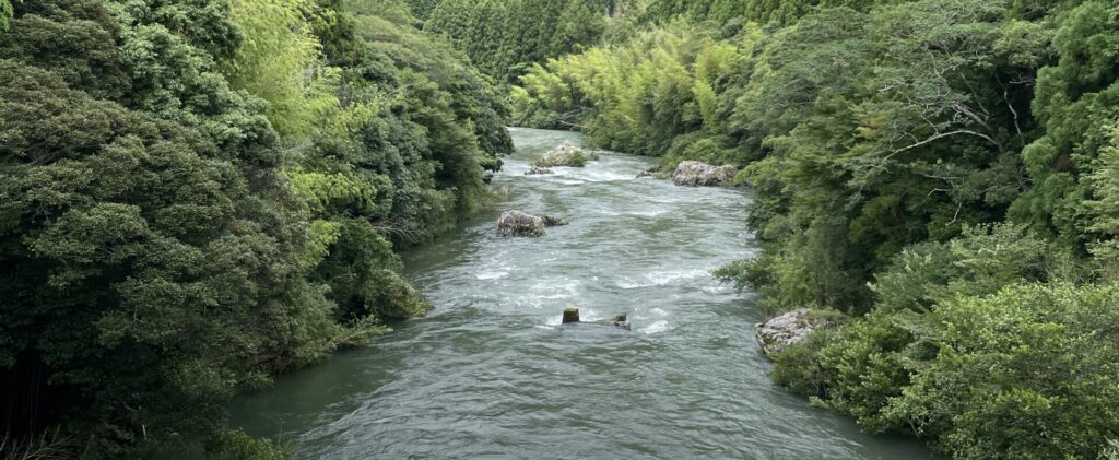 高知 SUP(サップ)|シャワークライミング 仁淀川と吉野川で開催 ガルバンゾ